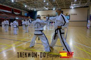 El Congreso Nacional de Taekwon-Do ITF se celebró en La Nucía