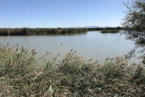 La Conselleria de Transició Ecològica presenta projectes per a la conservació de L'Albufera