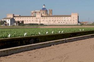 Comencen les obres dels itineraris paisatgístics a l’entorn de Sant Miquel dels Reis