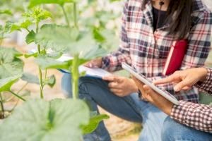 El Gobierno aprueba un real decreto para incentivar la igualdad de las mujeres en las explotaciones agrarias de titularidad compartida