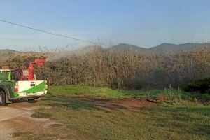 Benicàssim continua amb el pla per a atallar la presència de mosquits en el municipi