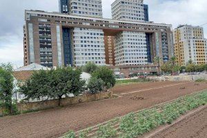 Coexistencia de espacios urbanos y agrarios en el “camí vell del Cabanyal”