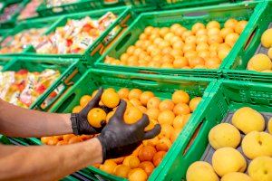 Mercadona incorpora la mandarina Oronules a su campaña de venta de cítricos de origen nacional