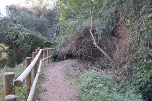 La ruta botànica del Paisatge Protegit de la Desembocadura del Millars continua tancada en pro de la seguretat dels usuaris