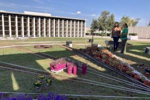 Almassora transforma el cementerio con las prácticas del Centro de Formación