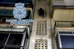 Los cuatro detenidos fueron interceptados in fraganti en tres dispositivos distintos por indicativos de Seguridad Ciudadana cuando huían del lugar de los hechos