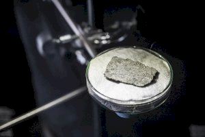 El Museu de les Ciències de Valencia exhibe un fragmento de meteorito de origen marciano