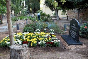 Valencia impulsa una campaña para un Todos los Santos libre de mosquitos tigre en cementerios