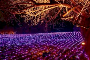 Les llums de Vivers, un espectacle màgic de llum, història i tradicions arriba a València