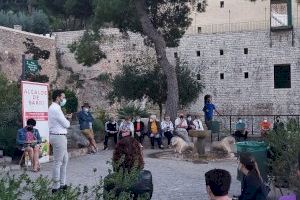 Demà i despús-demà la iniciativa Alcalde de barri visita Las Islas i Padre Jaime i Pedres Blaves