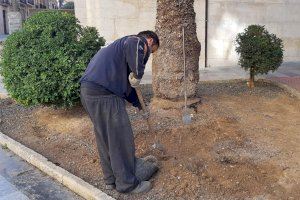 En marxa les obres d'adequació del Jardí dels Reis Mags