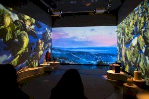 Coneix més sobre el canvi climàtic a la nova exposició del Museu Valencià d'Etnologia