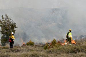 Un total de 25 ayuntamientos se benefician de las ayudas de Transición Ecológica para ejecutar sus planes locales de prevención de incendios