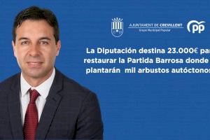 La Diputación actúa en partida Barrosa recuperando esta zona con la reforestación de mil arbustos autóctonos