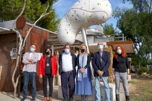 Marco ensalza la labor de ALCER Castalia en la visita al monumento que instalarán en Castelló