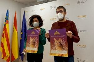 Villena consolida el Plan de Gestión de Colonias Felinas con la formación y acreditación de cuidadores-gestores y una campaña de sensibilización de los gatos de colonia