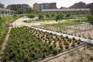 Valencia instalará cámaras en el Parque Central para evitar actos vandálicos
