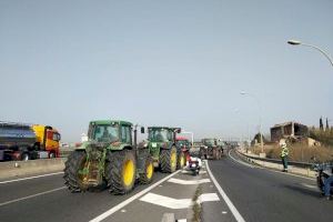 Agricultores valencianos convocan una tractorada entre Favara y Tavernes por la crisis de precios