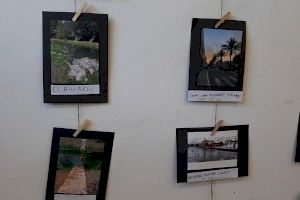 El CEIP la Sénia de l’Alcúdia de Crespins organitza l’exposició solidària ‘Fotos per la Palma’