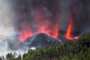 Colada volcánica o Ley Trans, entre las palabras que han marcado el 2021 en España