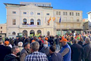 Importacions, plagues i pujada de costos asfixien les economies familiars de les persones llauradores i professionals de la Comunitat Valenciana