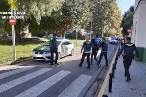 Desmantelan una plantación de marihuana en Corbera y detienen a dos vecinos