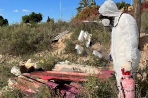 El Ayuntamiento de Elche retira 2.400 kilos de vertidos ilegales de amianto en barrios y pedanías