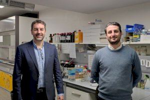 Fundación Vithas participa en un estudio que halla tipos de comportamiento celular capaces de predecir la enfermedad cardiovascular