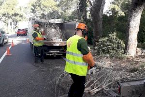 València retira més de 500 tones de restes vegetals a la Devesa del Saler per evitar incendis