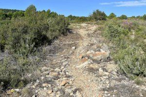 El Jutjat torna a donar la raó a la Font de la Figuera pel cobrament de la taxa a Iberdrola