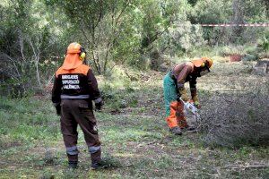 Les Brigades de la Diputació entren en el Consorci de Bombers