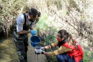Asociación Hombre y Territorio (HyT) y Cruz Roja realizan en el marco del Proyecto LIBERA una campaña de muestreo y análisis de microplásticos en más de 50 ríos y playas de España