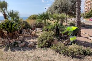 Finaliza la segunda fase de las obras de renovación integral del parque de la Tellerola de la Vila Joiosa