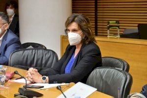 La portavoz de Sanidad del PSPV -PSOE en Les Corts Valencianes, Carmen Martínez