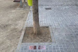 La campanya Arrela’t a Catarroja ja és al carrer amb la instal·lació de les primeres plaques