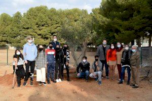 Nace el Aula de Ecología y Paisaje en el IES Vicent Andrés Estellés