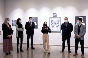 La Sala Tossal acull «Conversa» de Paula Menta, la primera exposició dedicada a joves artistes locals