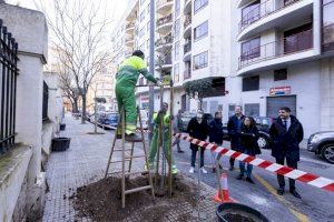 Gandia inicia una nova fase del Pla d’Ombres