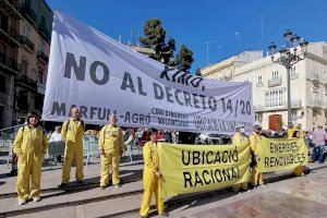 La Coodinadora Valenciana per la Ubicació Racional de les Energies Renovables ha desplegat una gran pancarta enfront de la Generalitat per reclamar la rectificació del decret 14/2020