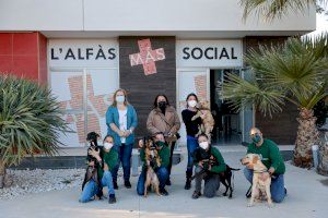 L'Alfàs lanza una nueva edición de ‘Eduka-dogs’, el programa de terapia con perros para jóvenes