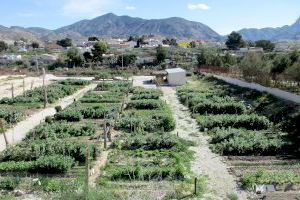 La Concejalía de Medio Ambiente abre el plazo para la solicitud de las 37 parcelas de los Huertos Ecológicos Municipales de Elda