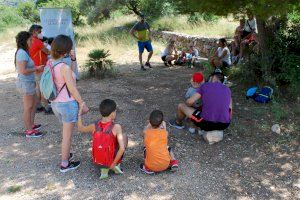 Castelló organitza un taller de petjades pel Dia Mundial de la Vida Silvestre en Celebrem amb la Natura