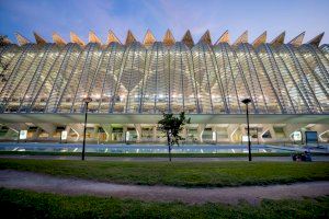 El Museu de les Ciències acoge la conferencia "La dimensión infinita, de la teoría de Einstein al diagnóstico por imagen"