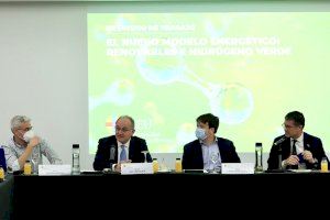 Analizan las opciones de financiación de proyectos innovadores en hidrógeno renovable con “fondos Covid” de la UE para la recuperación económica
