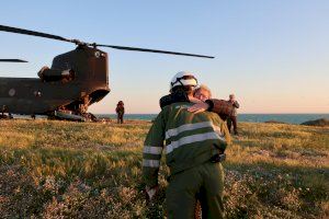 Iberdrola continúa trabajando para reforzar el suministro eléctrico en la isla de Tabarca