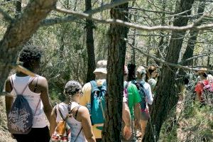 Castelló impulsa una ruta en Tossal Gros i Penyeta Roja para conmemorar el Día Mundial de la Tierra