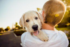 Convivir con una mascota: cuidados y gastos