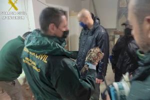 Rescatan un ave rapaz herida en Valencia: El Cárabo presentaba hipotermia