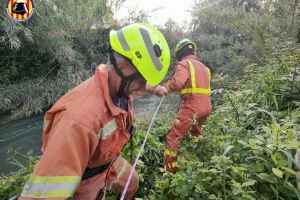 Rescatan a tres personas tras caer al río Turia en Manises al intentar rescatar a un perro