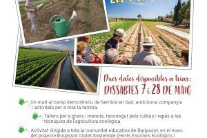 Vuelven las mañanas familiares en la huerta de Burjassot con la asociación Sembra en Saó